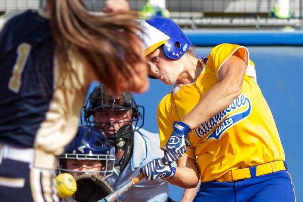 Postseason awards continue to roll in for TCC Softball
