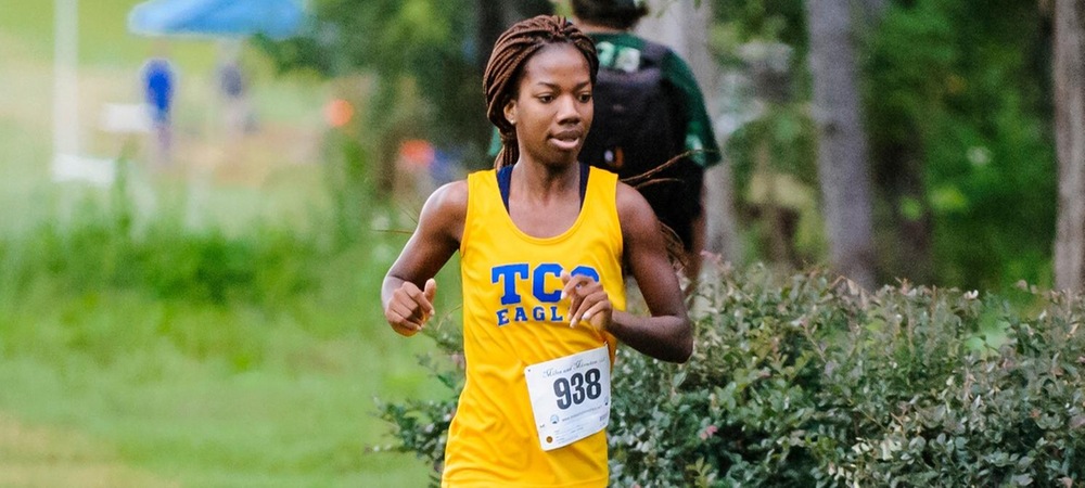 #TCCXC: Runners get first taste of ARP at Big Bend Invite