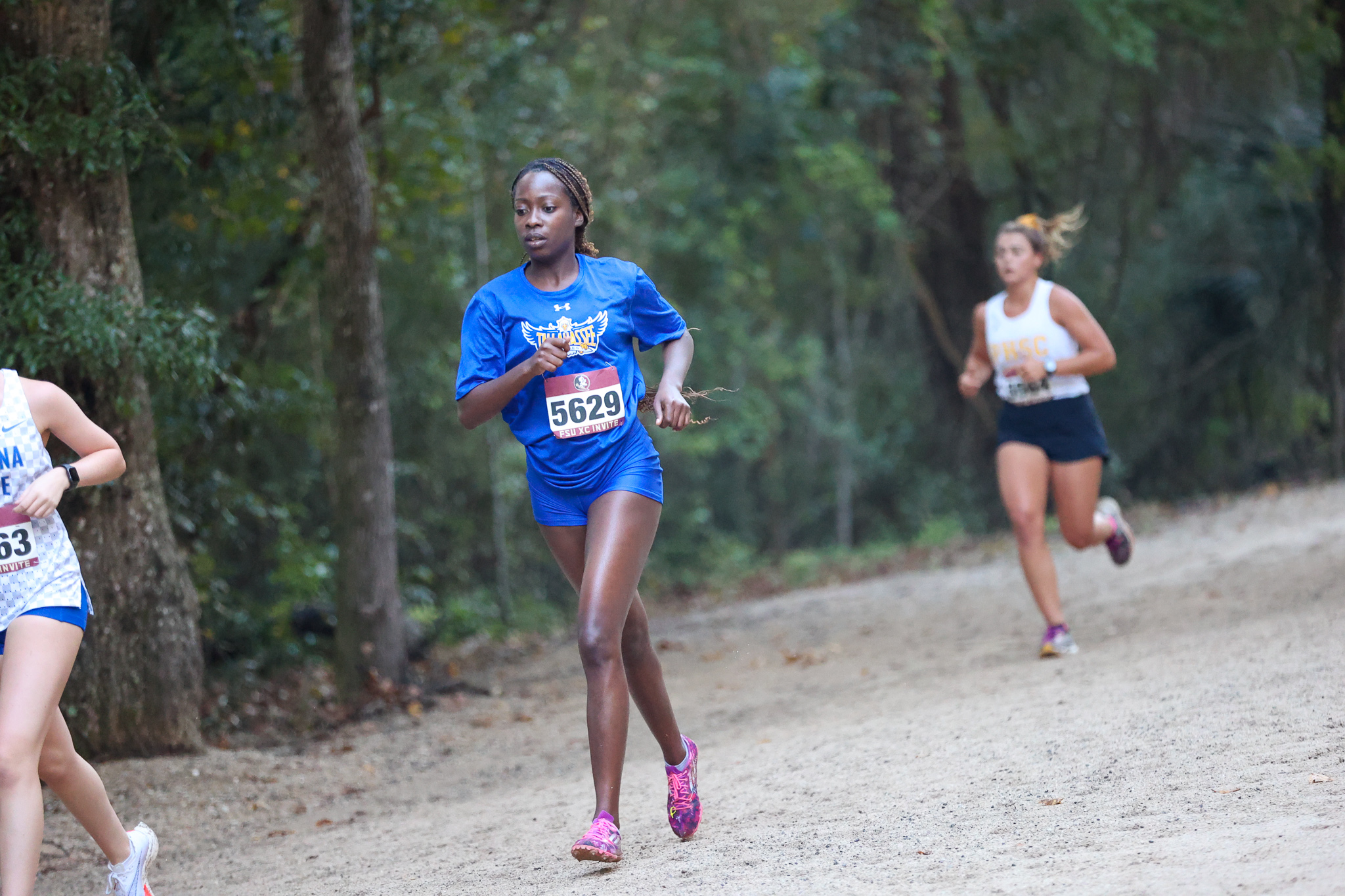 Merlica Faustin competing at the FSU Cross Country Open. (Photo credits: Christa Salerno, FSU Sports Information)
